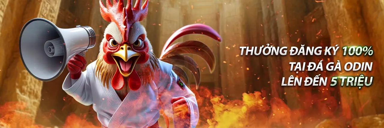 Hình ảnh minh họa chính sách bảo mật và bảo vệ dữ liệu của K8BET hiện đang mở