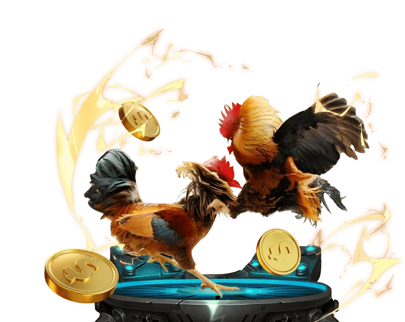 Cam kết dịch vụ khách hàng K8BET